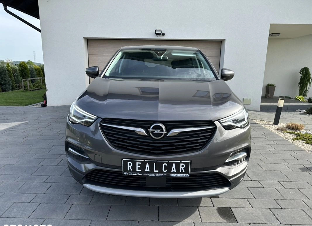 Opel Grandland X cena 65900 przebieg: 177345, rok produkcji 2019 z Nysa małe 781
